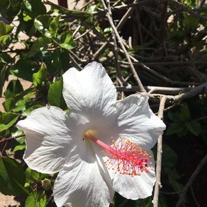 Meet your Posher, Carmen